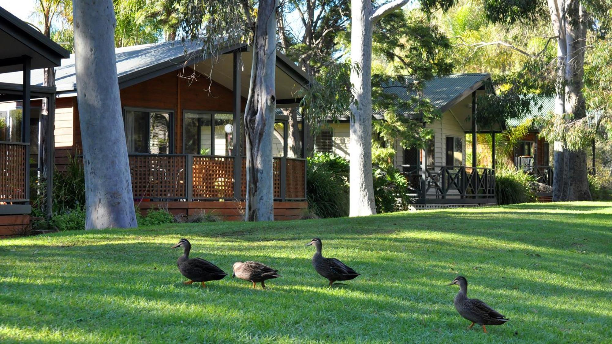 Marion Holiday Park Adelaide Esterno foto